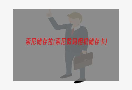 索尼储存拉(索尼数码相机储存卡)