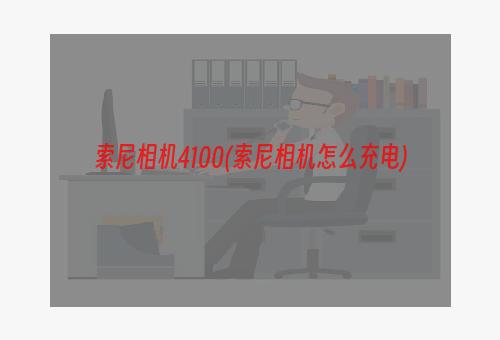 索尼相机4100(索尼相机怎么充电)