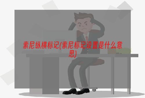 索尼纵横标记(索尼标记设置是什么意思)