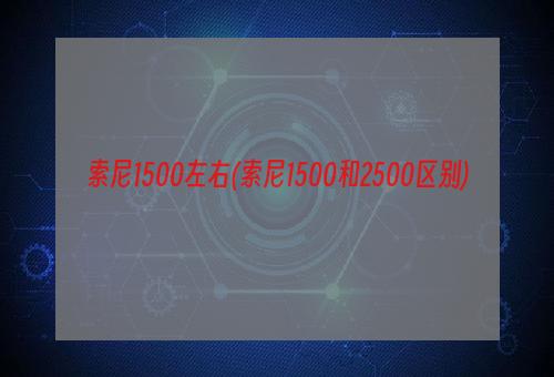 索尼1500左右(索尼1500和2500区别)