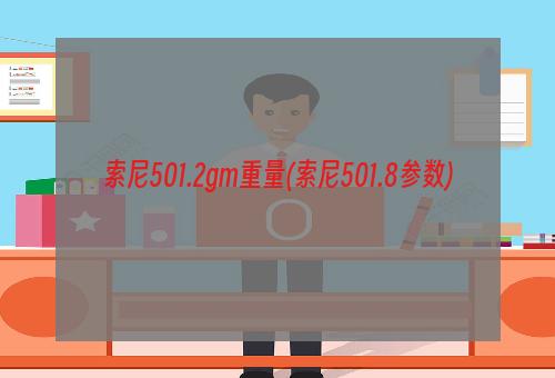 索尼501.2gm重量(索尼501.8参数)