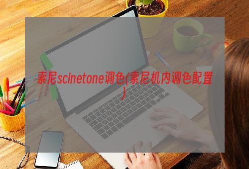 索尼scinetone调色(索尼机内调色配置)