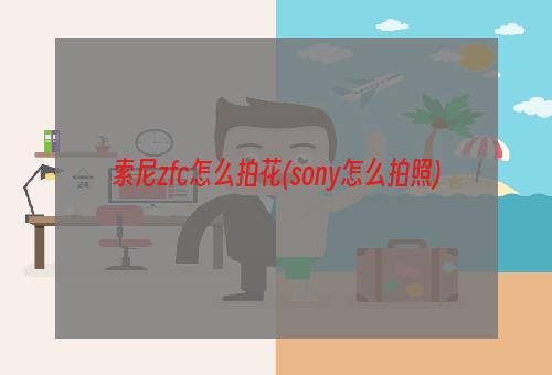 索尼zfc怎么拍花(sony怎么拍照)