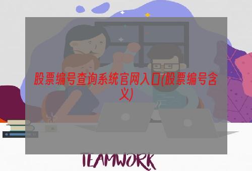 股票编号查询系统官网入口(股票编号含义)