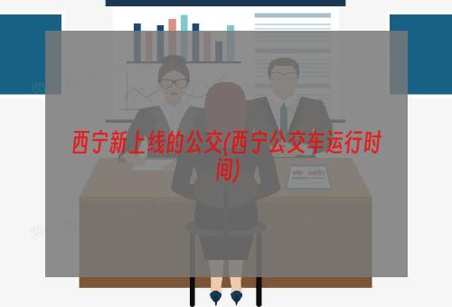 西宁新上线的公交(西宁公交车运行时间)