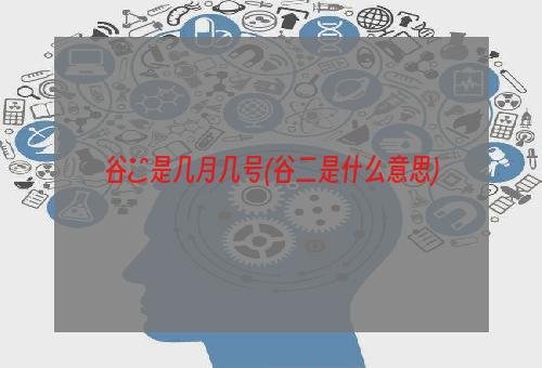 谷兩是几月几号(谷二是什么意思)