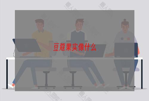 豆蔻果实像什么