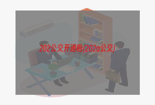 202公交开通啦(202a公交)