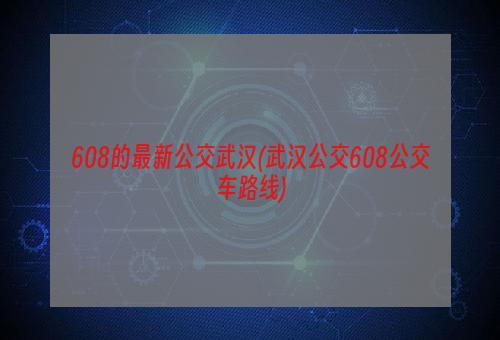 608的最新公交武汉(武汉公交608公交车路线)