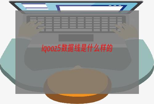 iqooz5数据线是什么样的