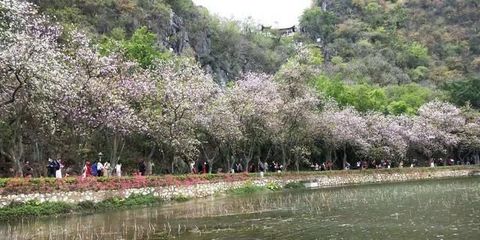 泰州十大景区排行榜图片