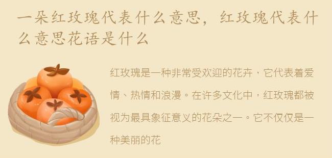 红玫瑰代表什么意思花语是什么(33朵玫瑰花语是什么意思)