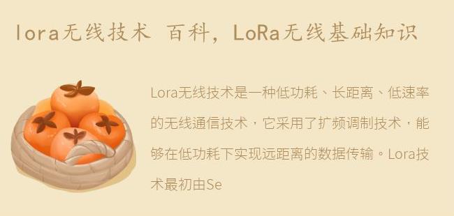 LoRa无线基础知识(lora无线技术)