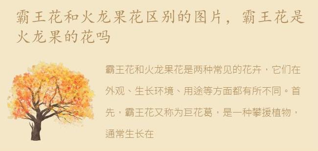 霸王花是火龙果的花吗(昙花霸王花和火龙果花对比图)