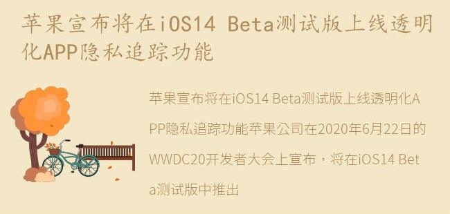 Beta测试版上线透明化APP隐私追踪功能(app检测隐私政策有没有更新)