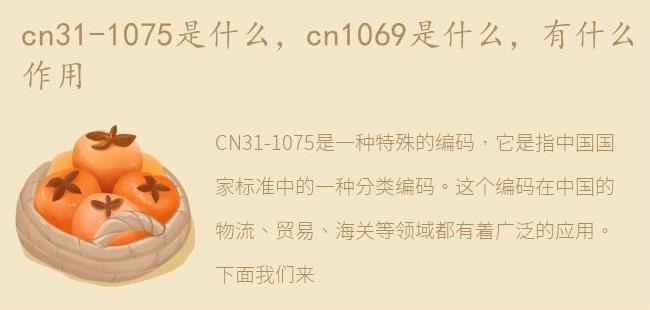 cn1069是什么，有什么作用