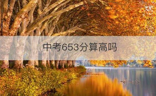 中考653分算高吗(中考635分什么概念)