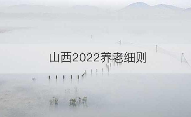 山西2022养老细则