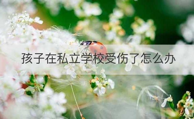 孩子在私立学校受伤了怎么办(孩子在私立学校骨折了)