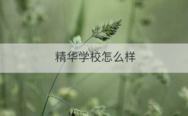 精华学校怎么样(精华学校学费怎么样)