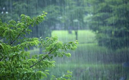 梅雨季节衣服有异味怎么办(梅雨季节衣服有异味怎么办小妙招)