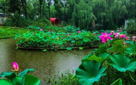 梅雨季节衣服会干吗(广州梅雨季节是几月份到几月份结束)