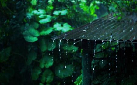 梅雨季节什么时候开窗通风最好(中国梅雨季节什么时候)