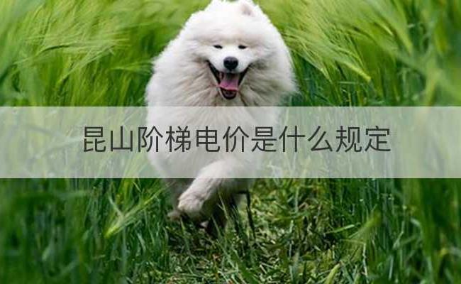 昆山阶梯电价是什么规定(昆山电量阶梯)