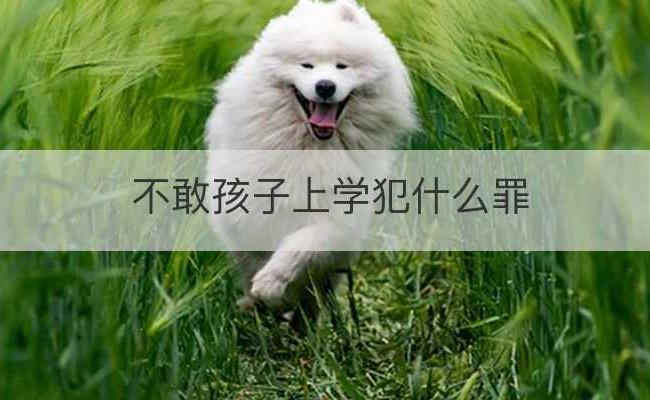 不敢孩子上学犯什么罪(孩子不愿意上学怎么办怎么引导)