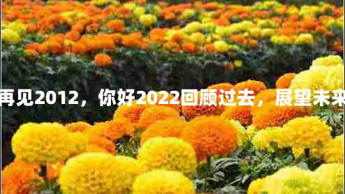 再见2012，你好2022回顾过去，展望未来