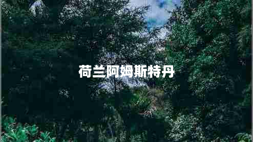 荷兰阿姆斯特丹（探索荷兰风情的必去之地）