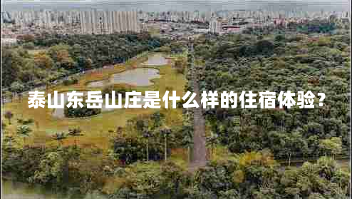 泰山东岳山庄是什么样的住宿体验？