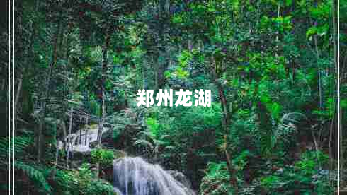 郑州龙湖（郑州龙湖在哪个区）