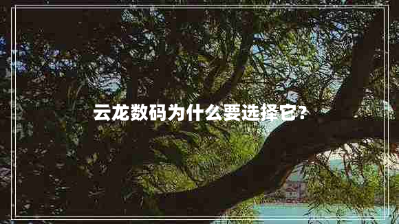 云龙数码为什么要选择它？