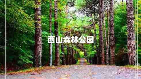 西山森林公园（西山森林公园 森林大舞台）