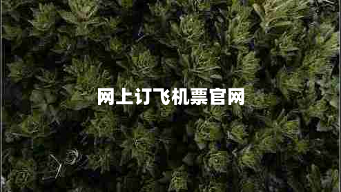 网上订飞机票官网（选择最优惠的机票预订平台）