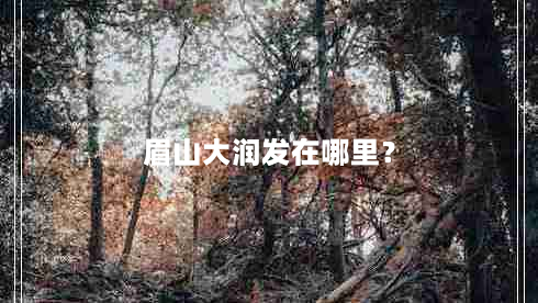 眉山大润发在哪里？