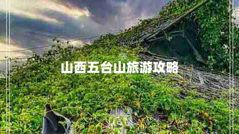 山西五台山旅游攻略（山西五台山旅游攻略自驾）