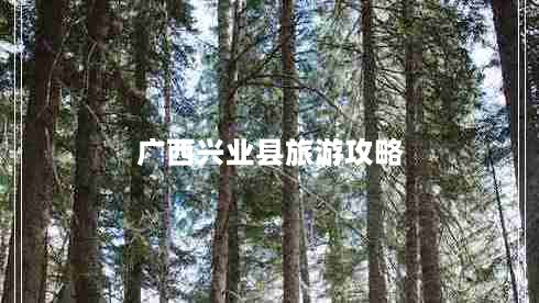 广西兴业县旅游攻略（美食景点民俗一网打尽）