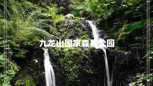 九龙山国家森林公园（九龙山国家森林公园要门票吗）