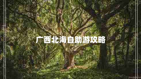 广西北海自助游攻略（广西北海自助游攻略路线）