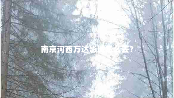 南京河西万达影城怎么去？