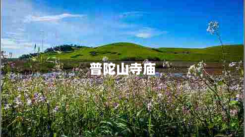 普陀山寺庙（普陀山寺庙介绍）