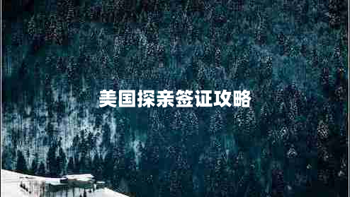 美国探亲签证攻略（从签证材料准备到面签方法全介绍）