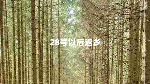 28号以后返乡（疫情期间如何安全地回家）