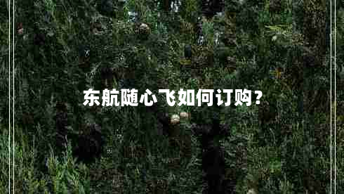 东航随心飞如何订购？