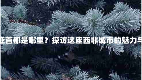 几内亚首都是哪里？探访这座西非城市的魅力与挑战