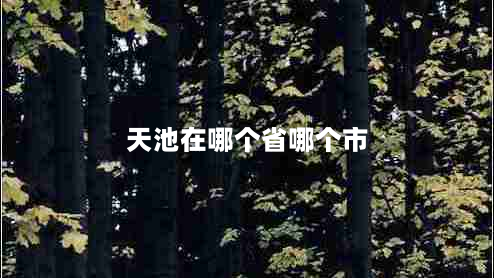 天池在哪个省哪个市（天池是哪个省份的）