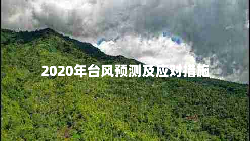 2020年台风预测及应对措施