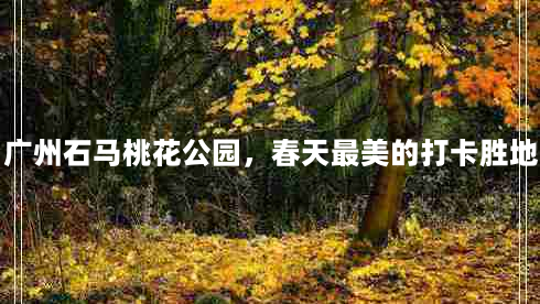 广州石马桃花公园，春天最美的打卡胜地